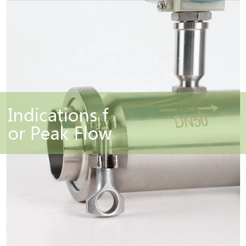 Indications for Peak Flow Meter: Medical Assessment Protocols for Chronic Obstructive Pulmonary Diseases